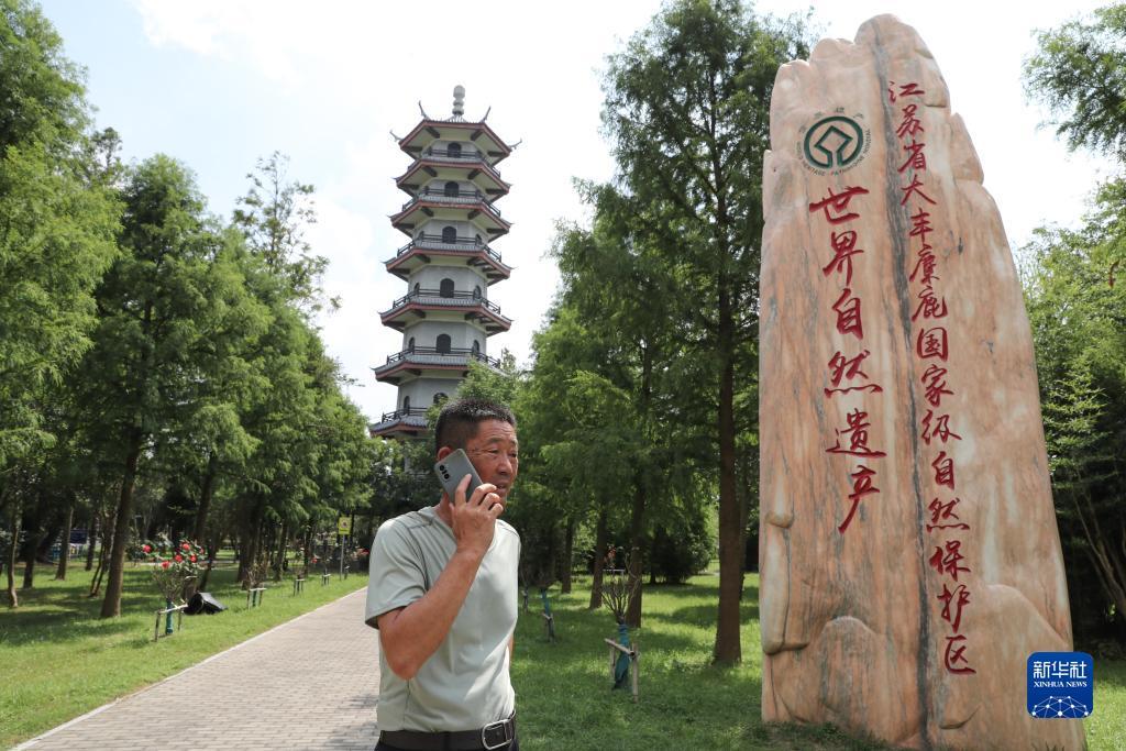 捕鱼游戏免费的